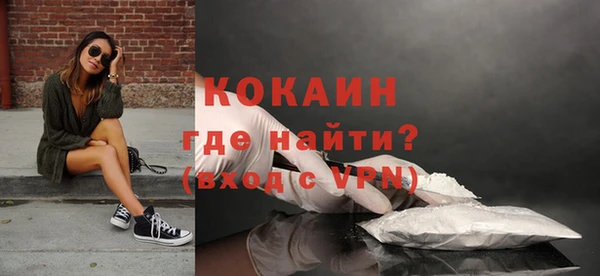 сатива Арсеньев