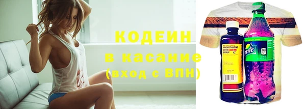 сатива Арсеньев