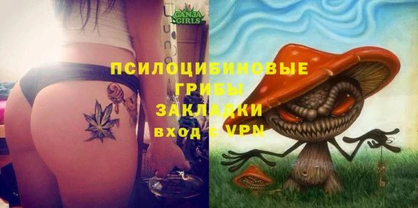 сатива Арсеньев